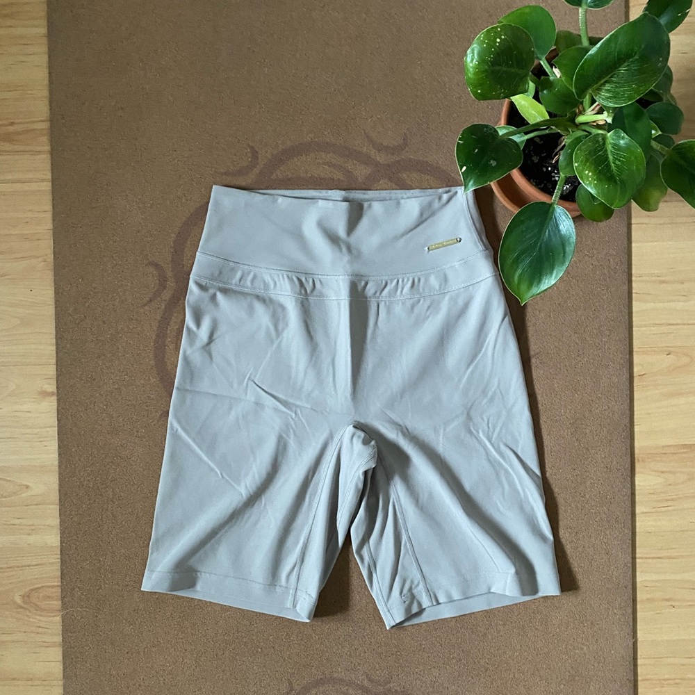 Whitney Simmons Mink V3 Gymshark Shorts